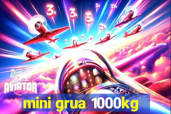 mini grua 1000kg